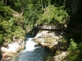 Radovna river, Slovenia Royalty Free Stock Photo