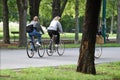 Cyclist in the Prater Hauptallee, Vienna, Austria, Europe