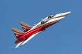 Patrouille Suisse formation display team of the Swiss Air Force flying Northrop F-5E fighter aircraft.