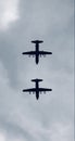 RAF 100 flypast