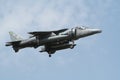 RAF Harrier Royalty Free Stock Photo