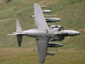 RAF Harrier Royalty Free Stock Photo