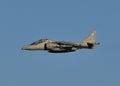 RAF Harrier Royalty Free Stock Photo