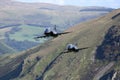RAF Hawk Pair Royalty Free Stock Photo