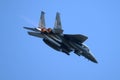 US Air Force F-15E Strike Eagle aircraft in flight