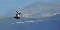 RAF Merlin Helicopter
