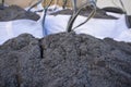 Raffia large sack of black topsoil