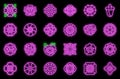 Rafflesia icons set vector neon