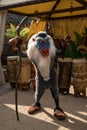 Rafiki Royalty Free Stock Photo