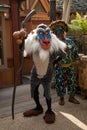 Rafiki Royalty Free Stock Photo