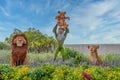 Rafiki, Simba, Mufasa and Nala character topairy displayed at Epcot Royalty Free Stock Photo
