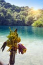 Raft on the bank of the Blue lagoon, Jamaica Royalty Free Stock Photo