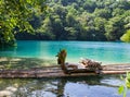 Raft on the bank of the Blue lagoon, Jamaica Royalty Free Stock Photo