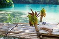 Raft on the bank of the Blue lagoon, Jamaica Royalty Free Stock Photo