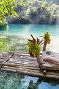 Raft on the bank of the Blue lagoon, Jamaica Royalty Free Stock Photo