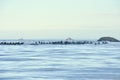 Raft of nervous sea otters in ocean swell with sportfishing boats behind