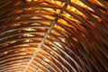 The rafters of Sully-sur-Loire castle, France, are made of wood