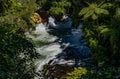 Rafting on the Kaituna River