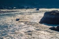 Rafting on the powerful Ganges river in the sun glares in Rishikesh, North India. Royalty Free Stock Photo