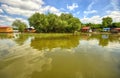 Rafts and tree on a green lake