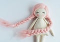 Rag doll with pink hair