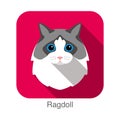 Ragdoll, Cat breed face cartoon flat icon design