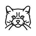 ragdoll cat cute pet line icon vector illustration