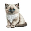 Ragdoll cat head portrait realistic colorful white brown black.