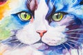 Ragdoll Cat painted in watercolor on a white background in a realistic manner, colorful, rainbow. Ideal for teaching