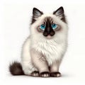 Ragdoll cat portrait icon head colorful.