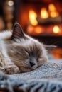 Ragdoll Cat Sleeping by Fireplace Royalty Free Stock Photo