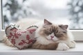 ragdoll cat on a windowsill, snoozing with a fabric heart