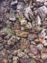 Ragged stones in the wall in the prehistoric Incas fertility temple in Chucuito, Puno Peru Royalty Free Stock Photo