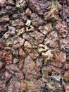 Ragged stones in the wall in the prehistoric Incas fertility temple in Chucuito, Puno Peru Royalty Free Stock Photo