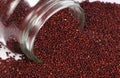 Ragi grains or finger milletgrains