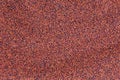 Ragi grains