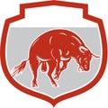 Raging Bull Jumping Attacking Charging Retro Royalty Free Stock Photo
