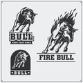 Raging bull. Vector emblems, labels and badges. Royalty Free Stock Photo