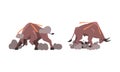 Raging bulls set. Furious aggressive powerful animal cartoon vector illustration