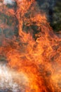 Raging fire, burning fire, bonfire, fire fighting Royalty Free Stock Photo