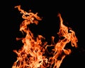 Raging flames red fire black background Royalty Free Stock Photo