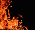 Raging flames red fire black background Royalty Free Stock Photo