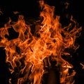 Raging flames red fire black background Royalty Free Stock Photo