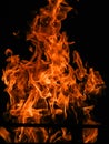 Raging flames red fire black background Royalty Free Stock Photo
