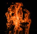 Raging flames red fire black background Royalty Free Stock Photo