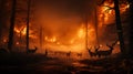 A raging forest fire engulfs trees and wildlife in its path Royalty Free Stock Photo