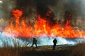 Raging forest spring fires. Burning dry grass, reed along lake. Grass is burning in meadow. Ecological catastrophy. Fire and smoke