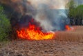 Raging forest spring fires. Burning dry grass, reed along lake. Grass is burning in meadow. Ecological catastrophy. Fire and smoke Royalty Free Stock Photo