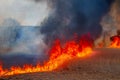 Raging forest spring fires. Burning dry grass, reed along lake. Grass is burning in meadow. Ecological catastrophy. Fire and smoke Royalty Free Stock Photo