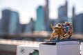 A raging golden bull and statue of liberty souvenir on the Brooklyn Bridge in New York, USA